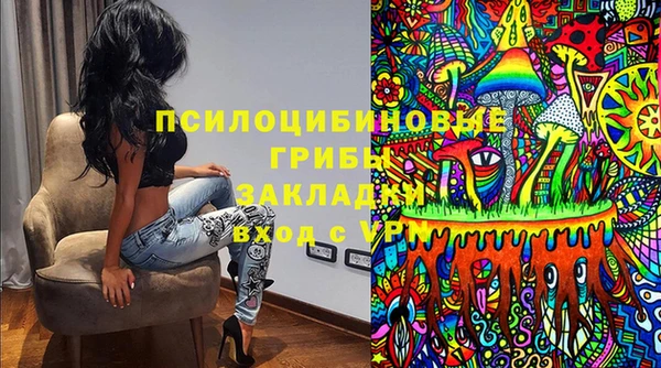 стафф Ростов