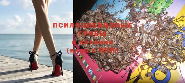 Альфа ПВП Рославль