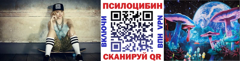 mega сайт Калининск Галлюциногенные грибы Psilocybine cubensis